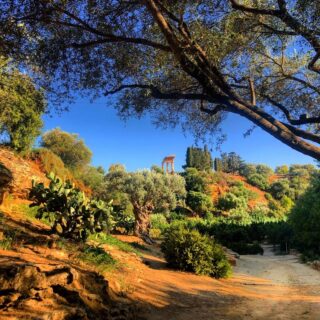 Giardini Della Kolymbetra