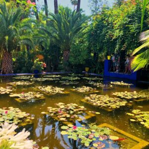 Jardin Majorelle