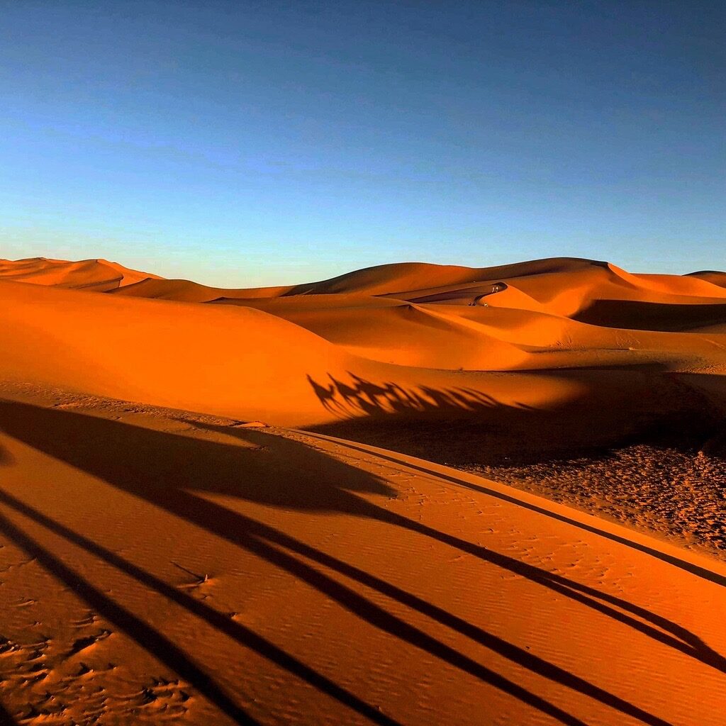 Ombre nel deserto