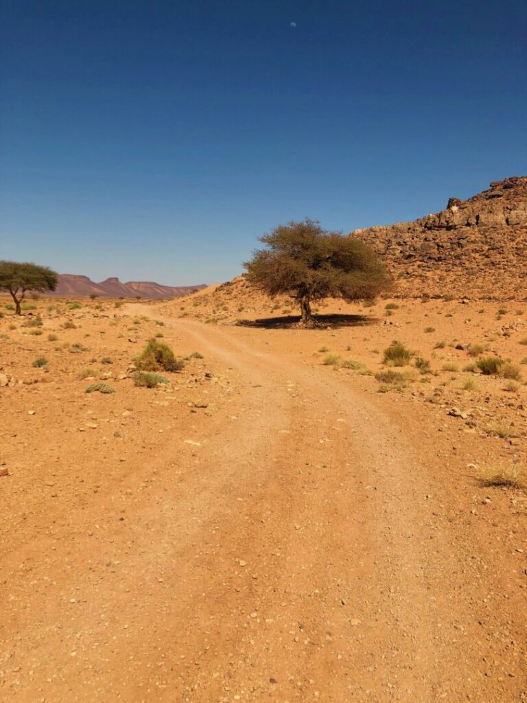 South Marocco landscape