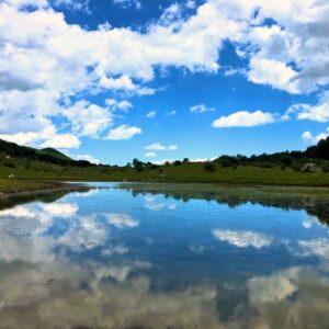 Riflessi Sul Laghetto