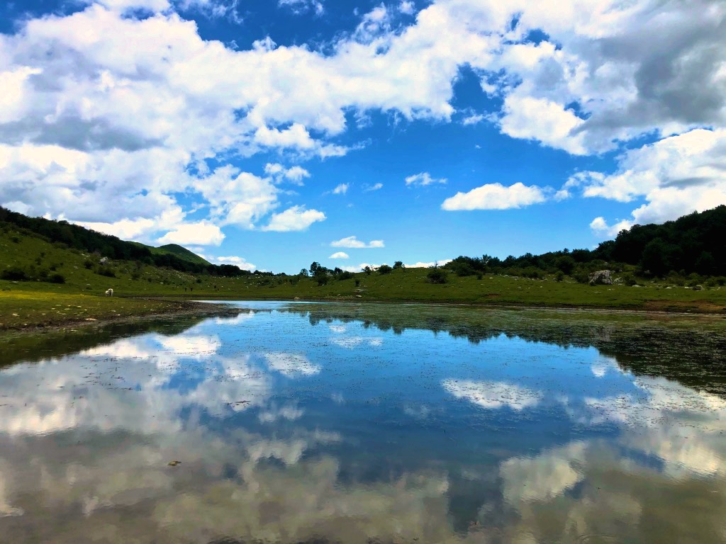 Riflessi sul laghetto