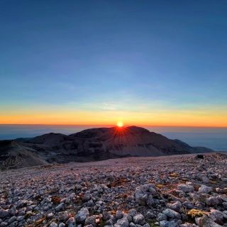 Alba Dal Monte Amaro