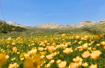 Dalle Vette Alle Piane...