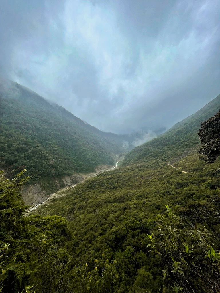 Scenari Amazzonici