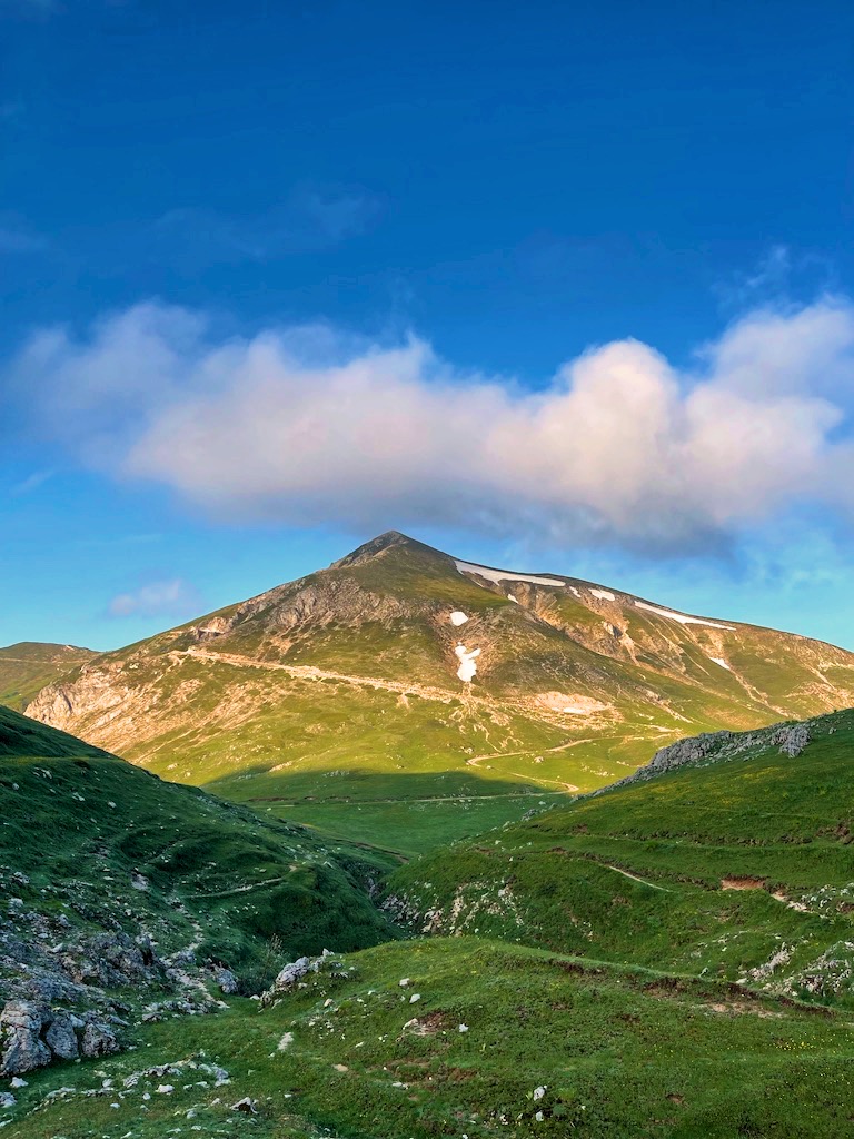 Monte I Porcini