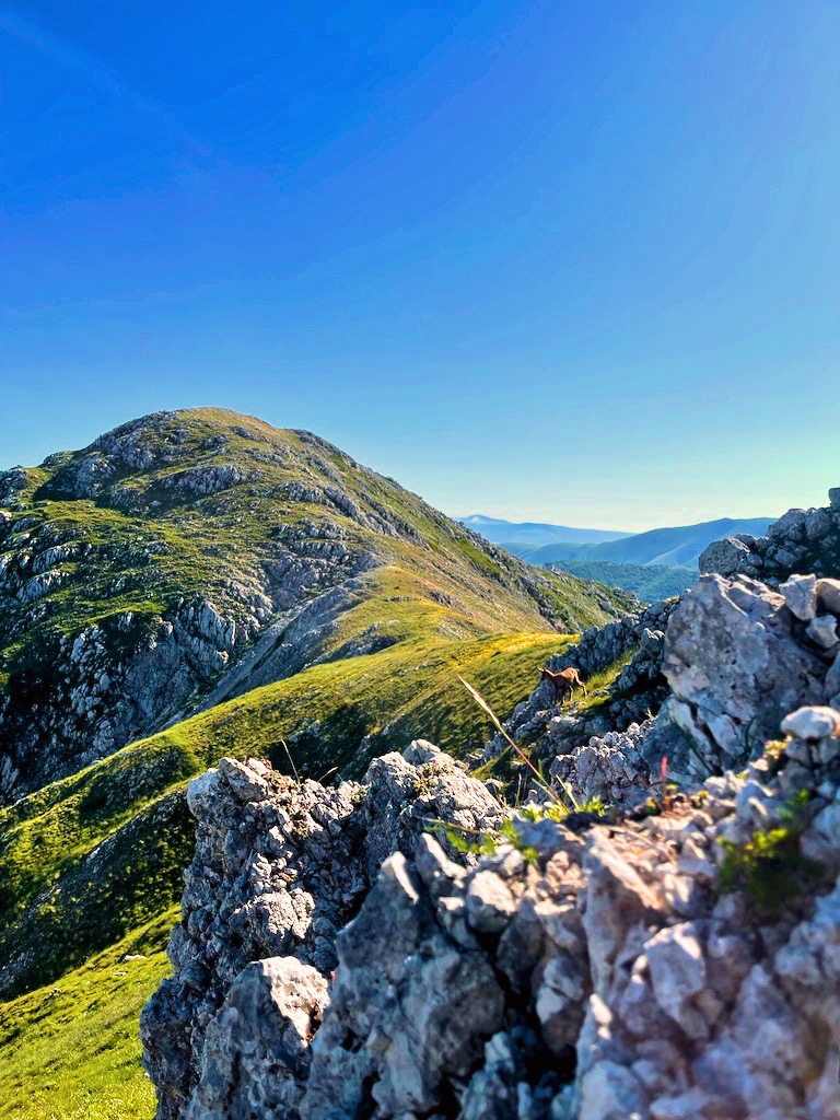Monte Ninna