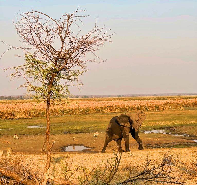 Bwabwata-National Park