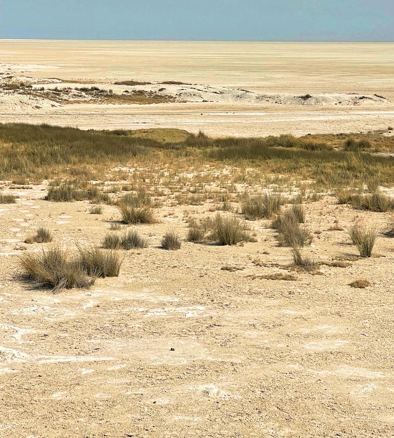 Etosha Pan