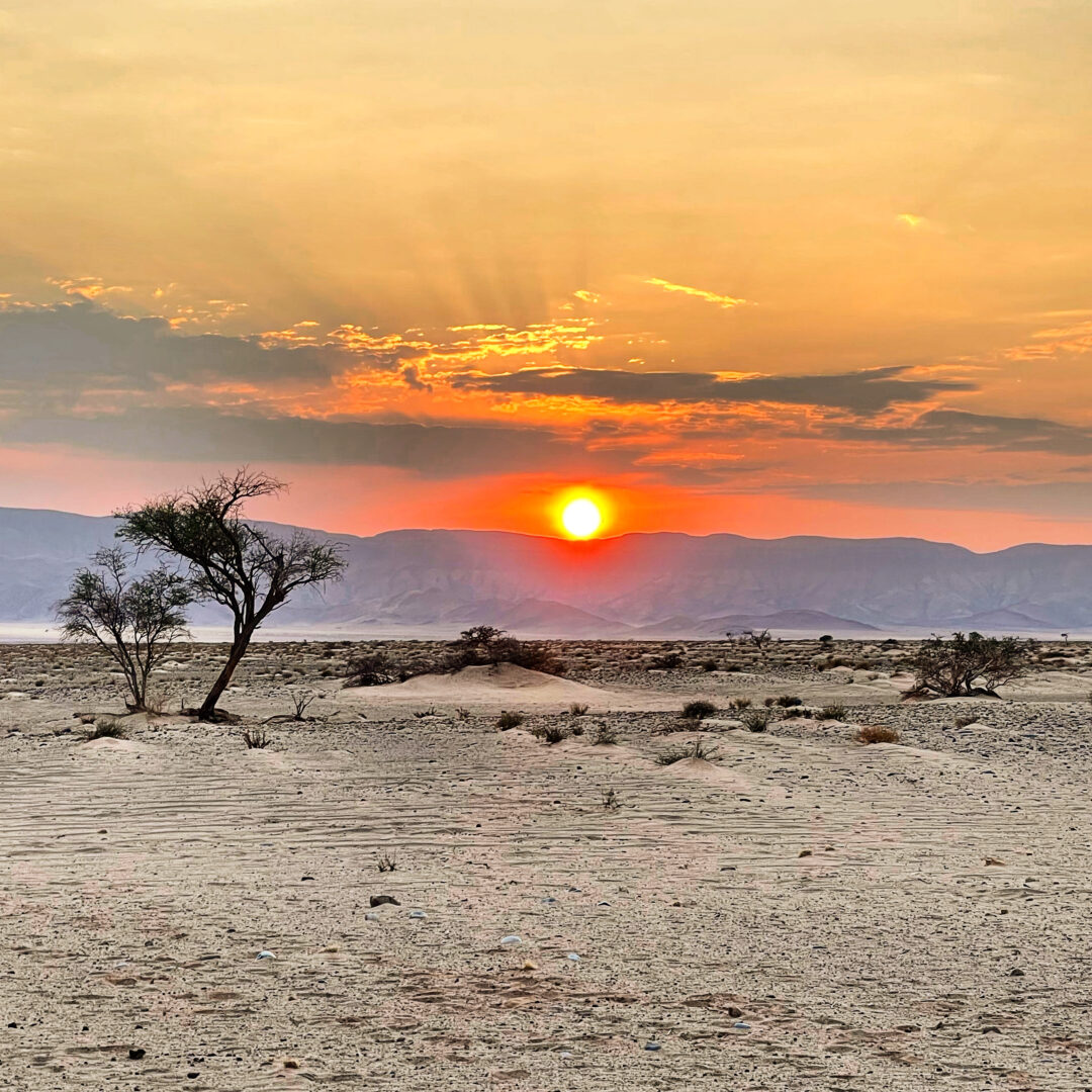 Alba Desert Camp