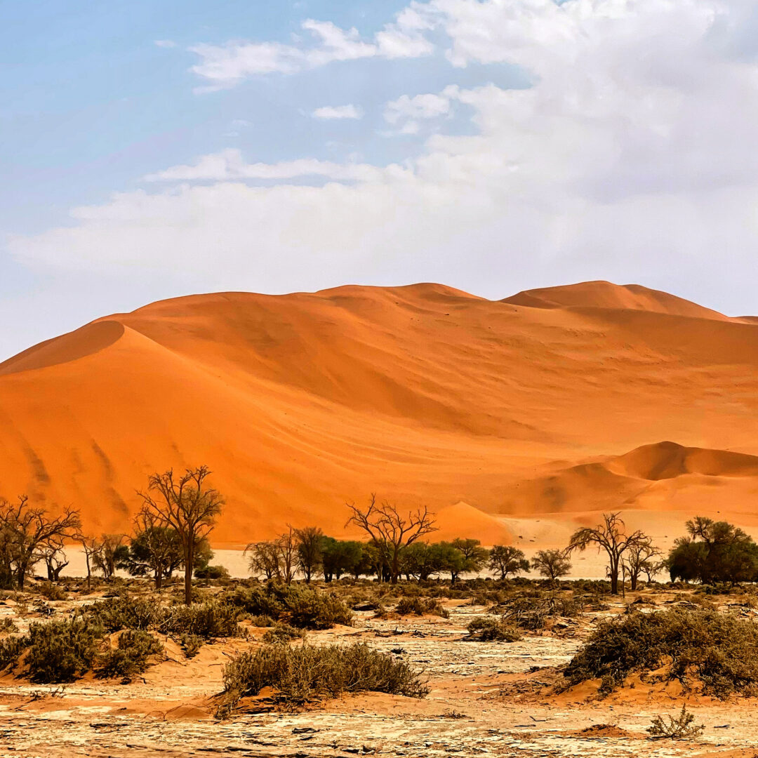 Namib Desert