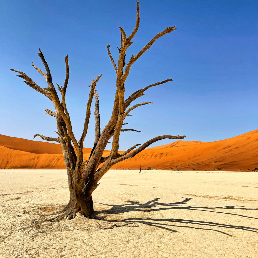 Deadvlei