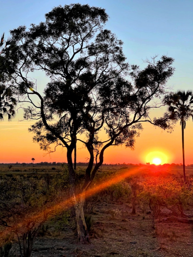 Alba nel Delta dell'Okavango