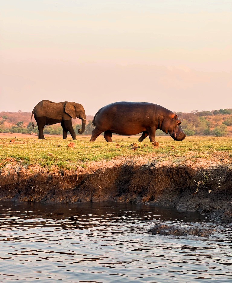 Combo Chobe National Park