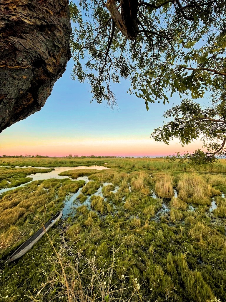 Delta dell'Okavango