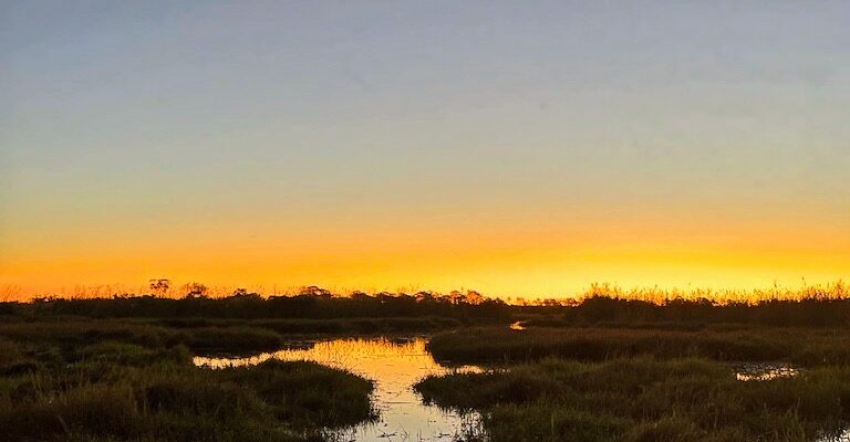 Delta Dell’Okavango