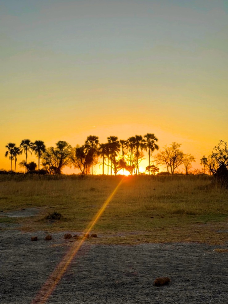 Tramonti nel Delta dell'Okavango