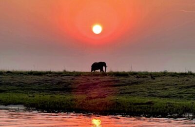 Tramonto Chobe National Park