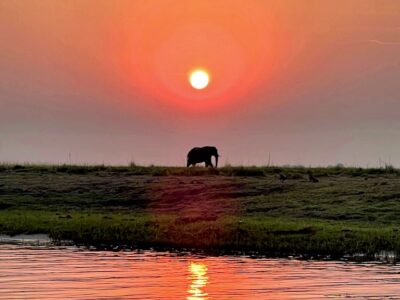 Tramonto Chobe National Park