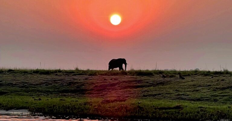 Chobe National Park