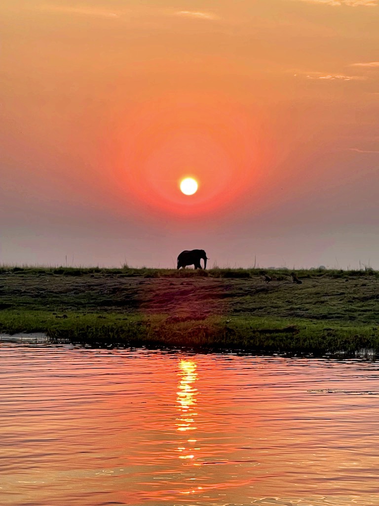 Tramonto Chobe National Park