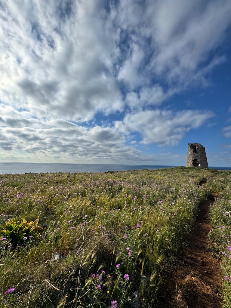 Torre Sant'Emiliano